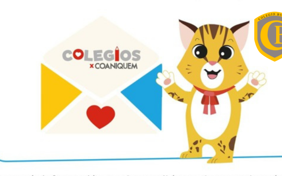 Colegio Bulnes conmemoró el Día de la Solidaridad con participación en campaña COANIQUEM